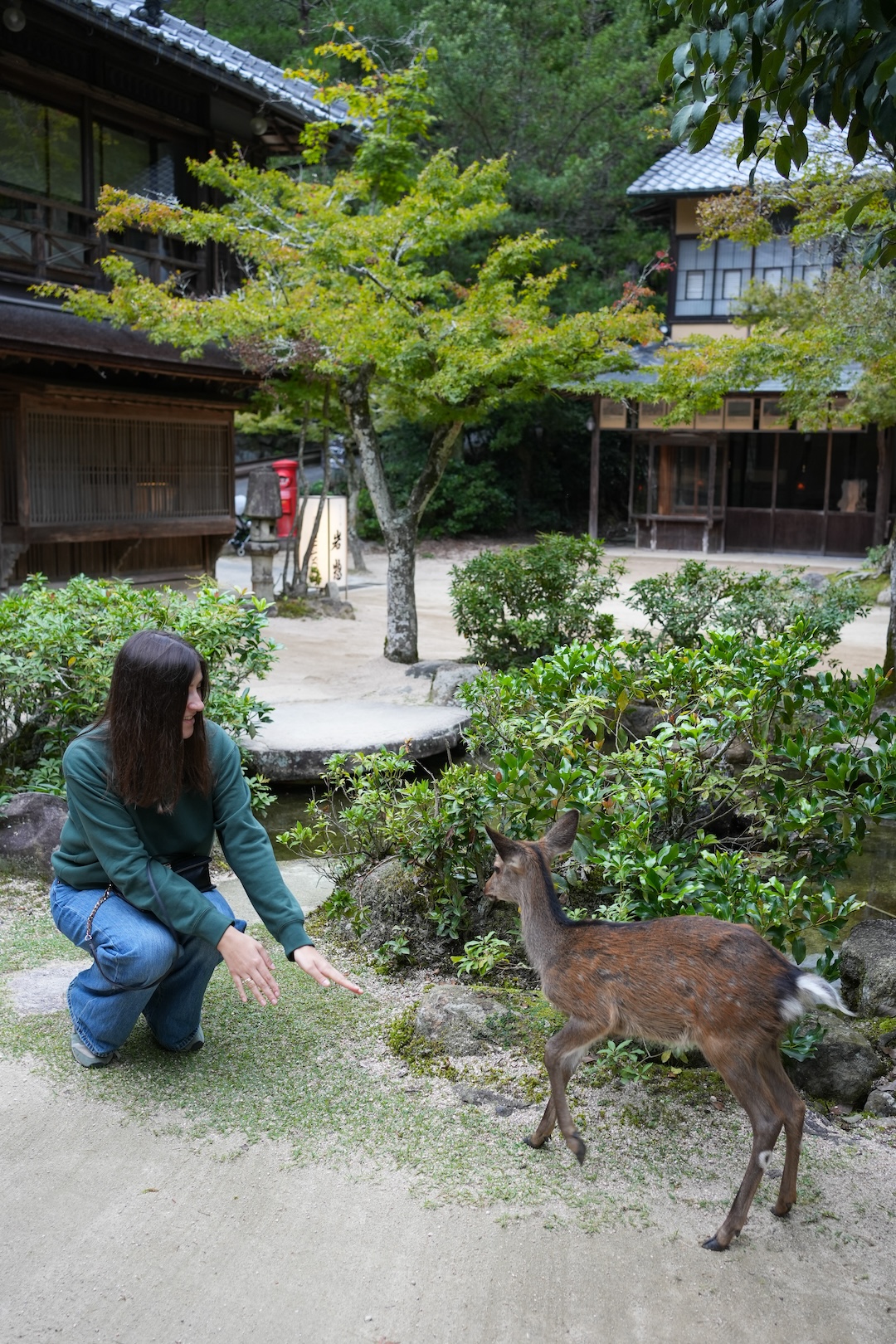 miyajima