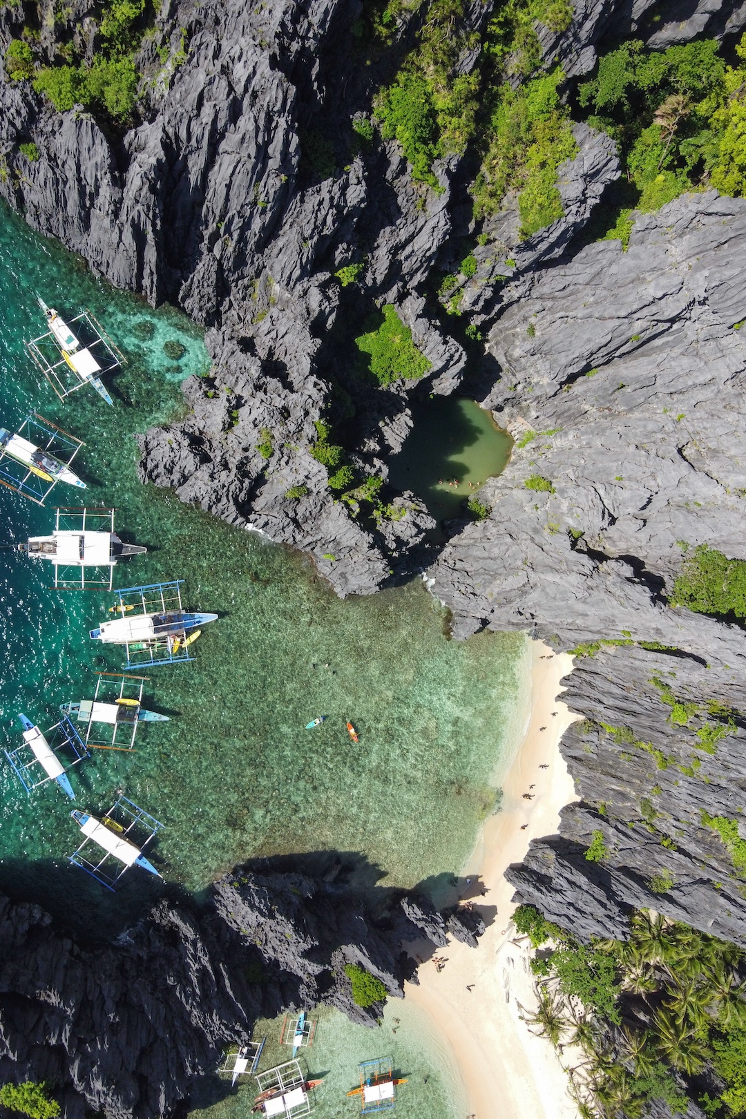 el nido