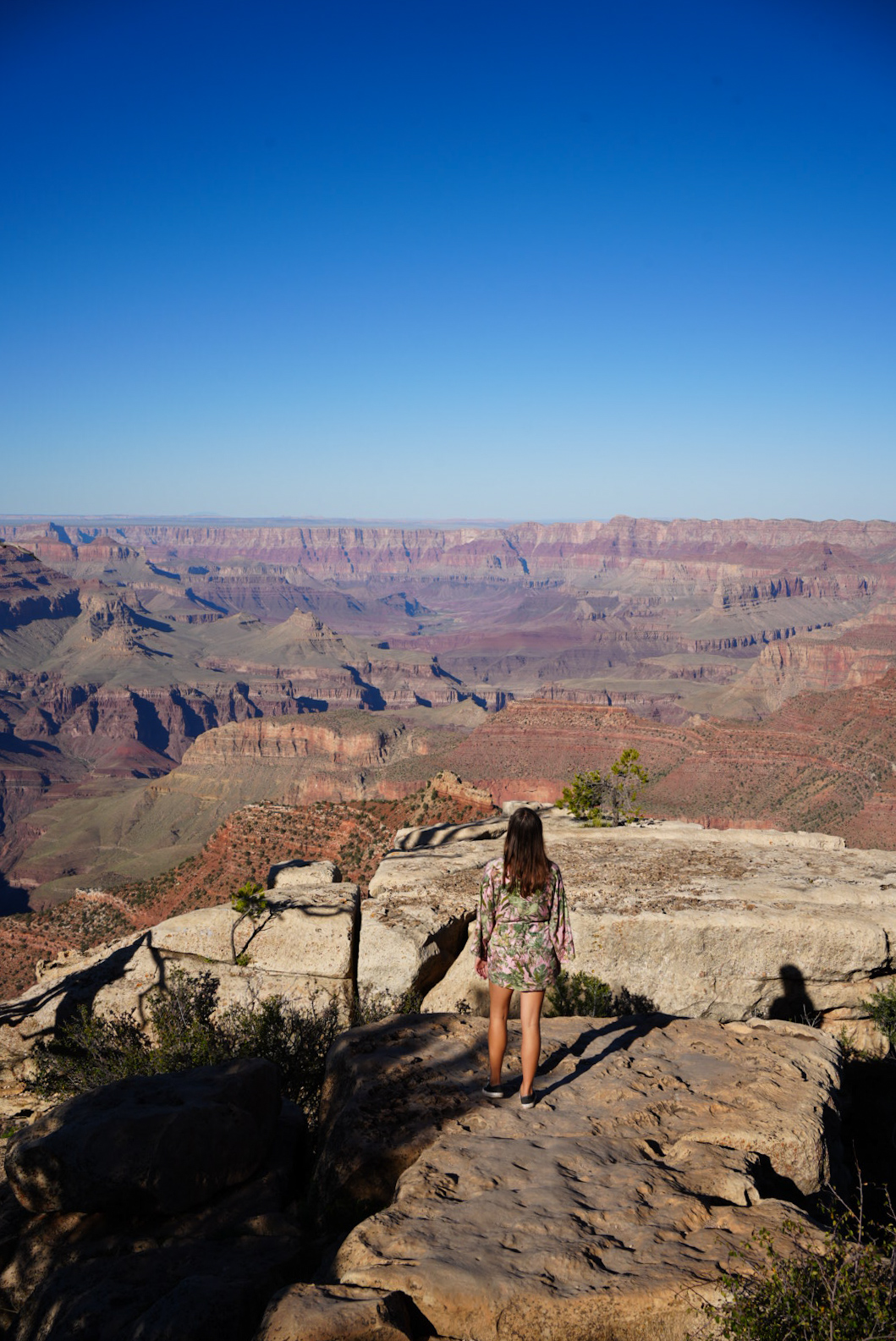 grandcanyon4