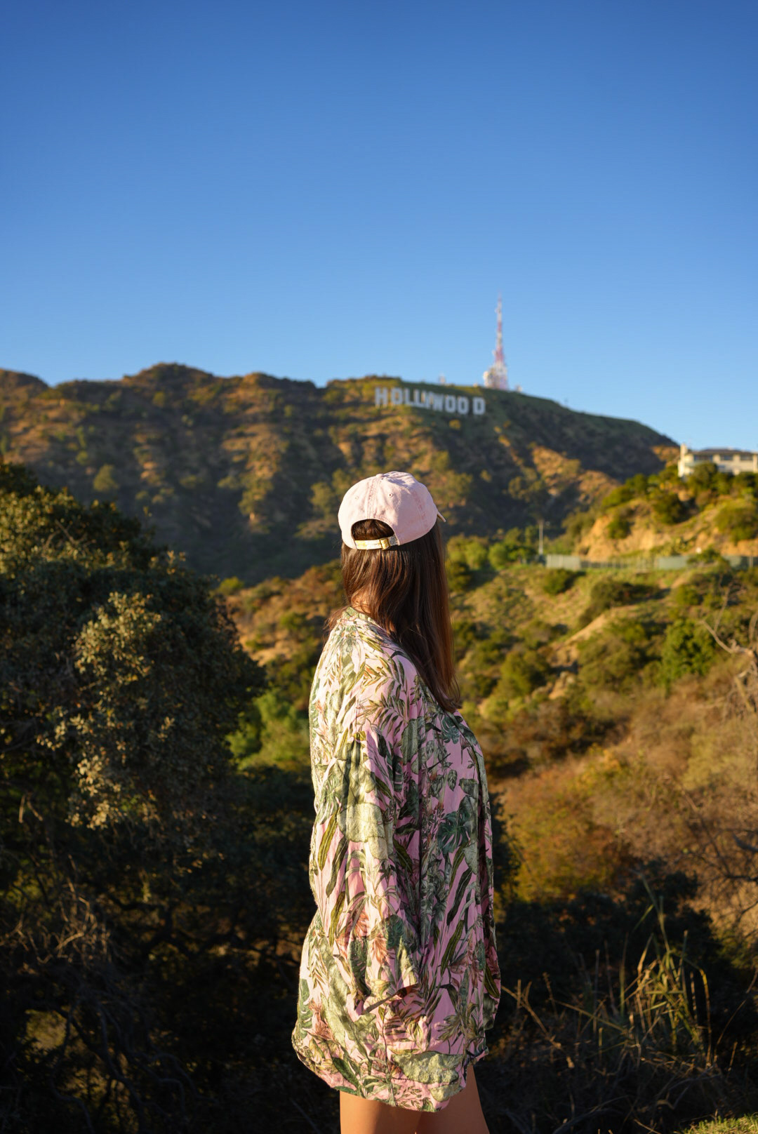 hollywood1