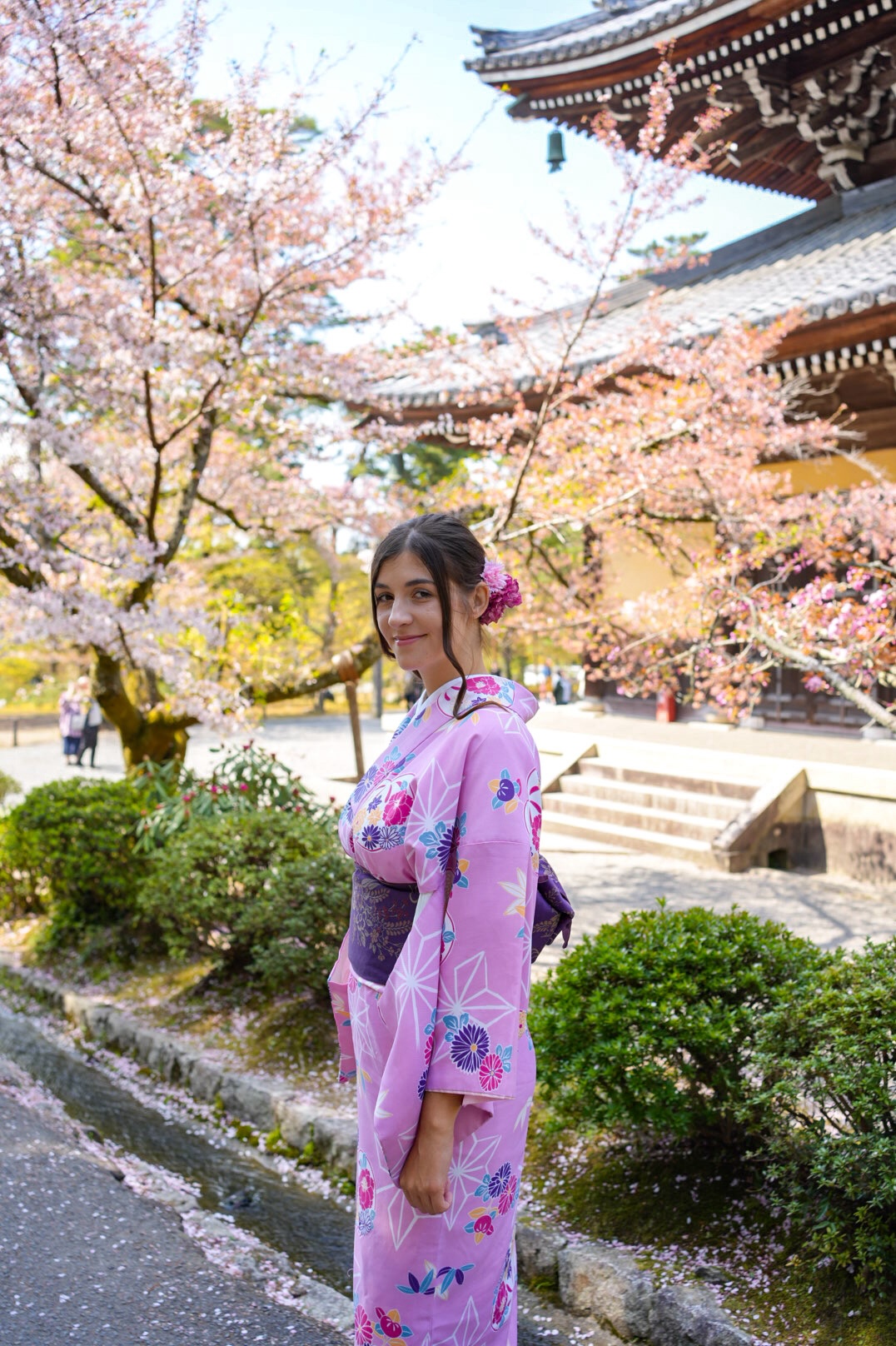sakura_japan1